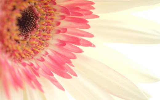 973890 (a): :2880x1800